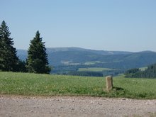 Grenzstein im Schwarzwald.